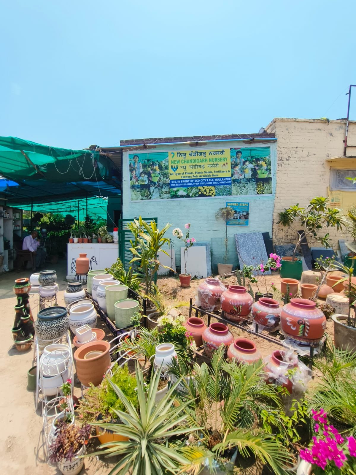 New Chandigarh Nursery