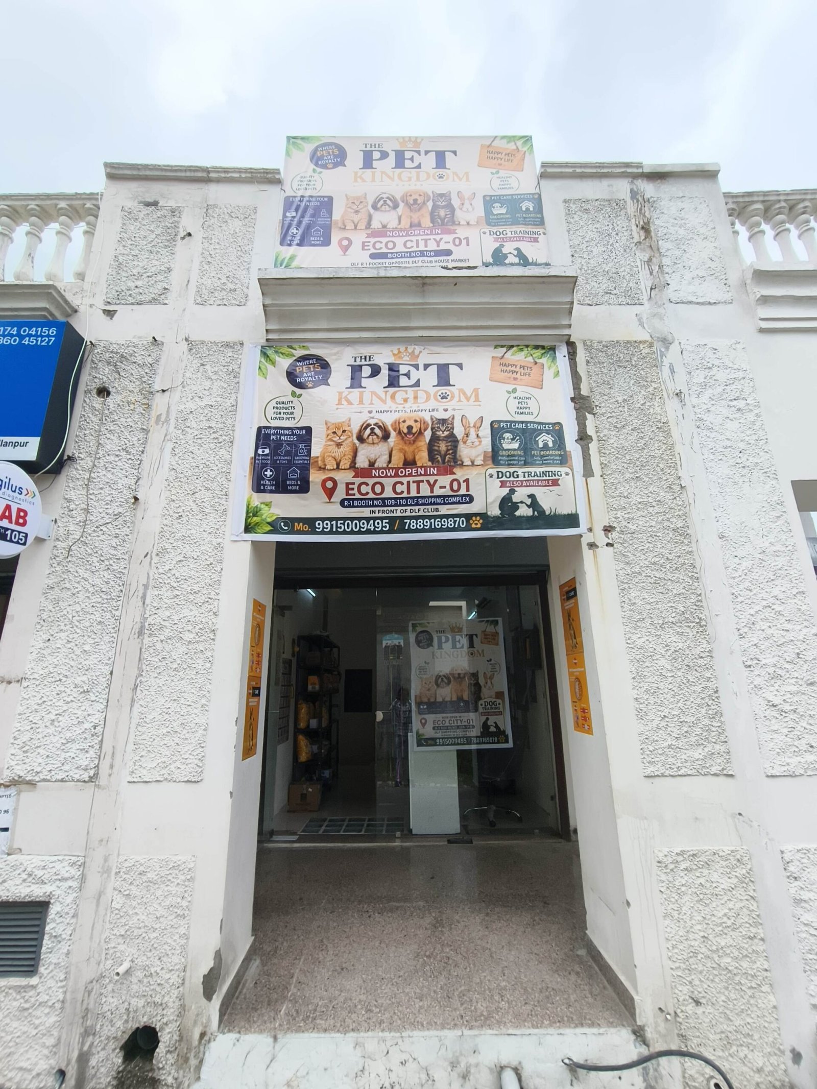Pet shop storefront with large PET KINGDOM banners featuring dogs and cats above an open entrance.